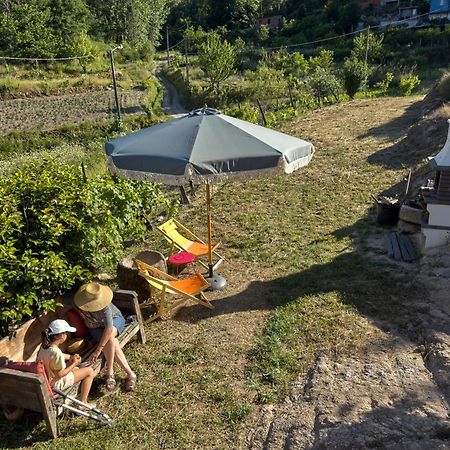 Quinta Da Peca Douro Vinhateiro Vila Real Exteriér fotografie