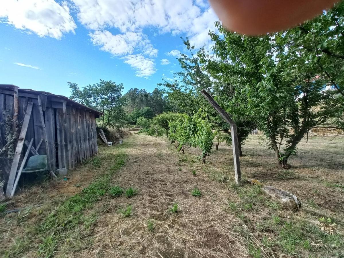 Quinta Da Peca Douro Vinhateiro Vila Real Exteriér fotografie