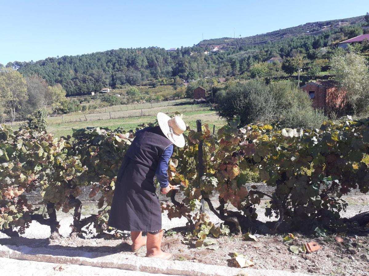 Quinta Da Peca Douro Vinhateiro Vila Real Exteriér fotografie