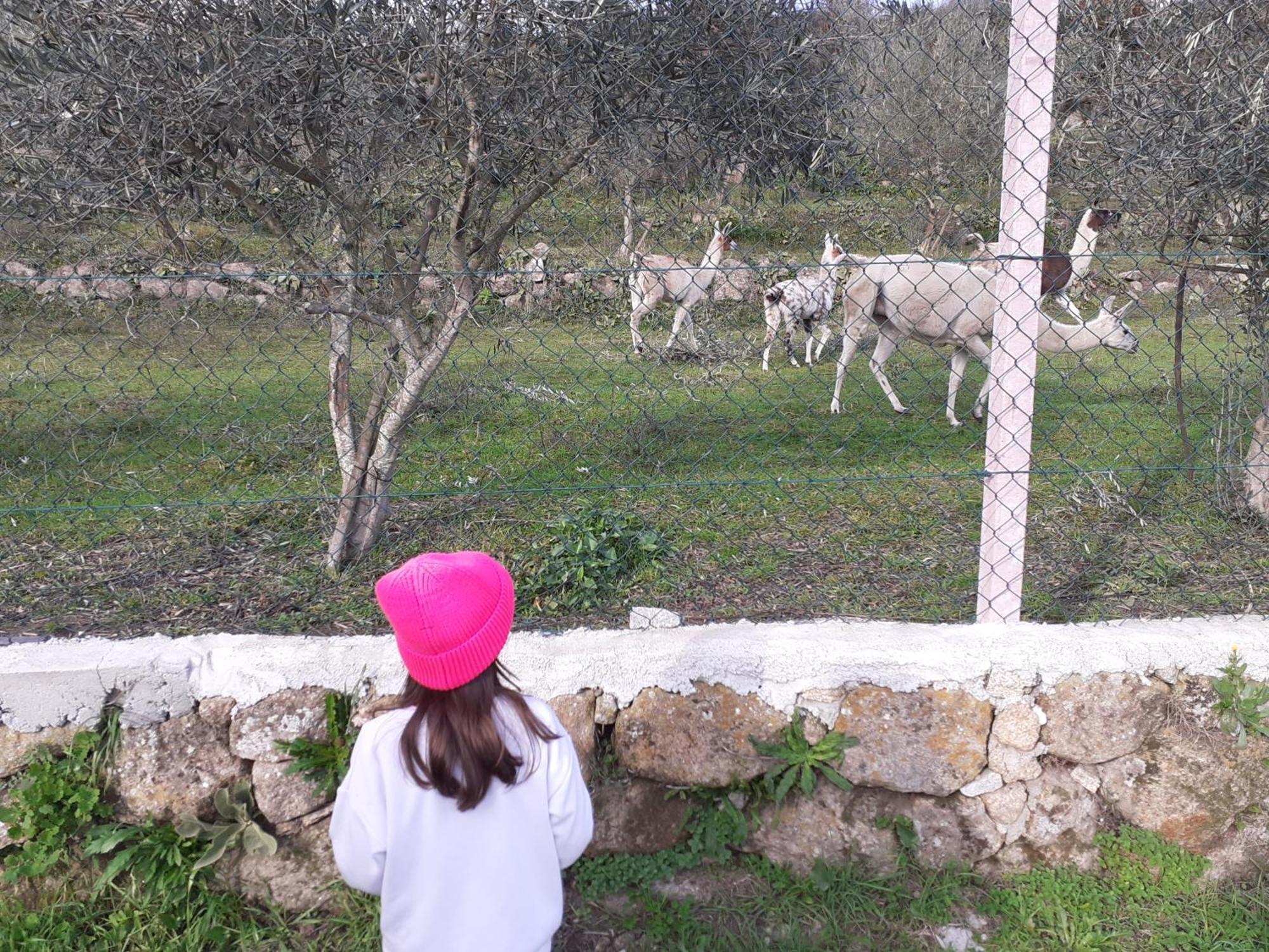 Quinta Da Peca Douro Vinhateiro Vila Real Exteriér fotografie