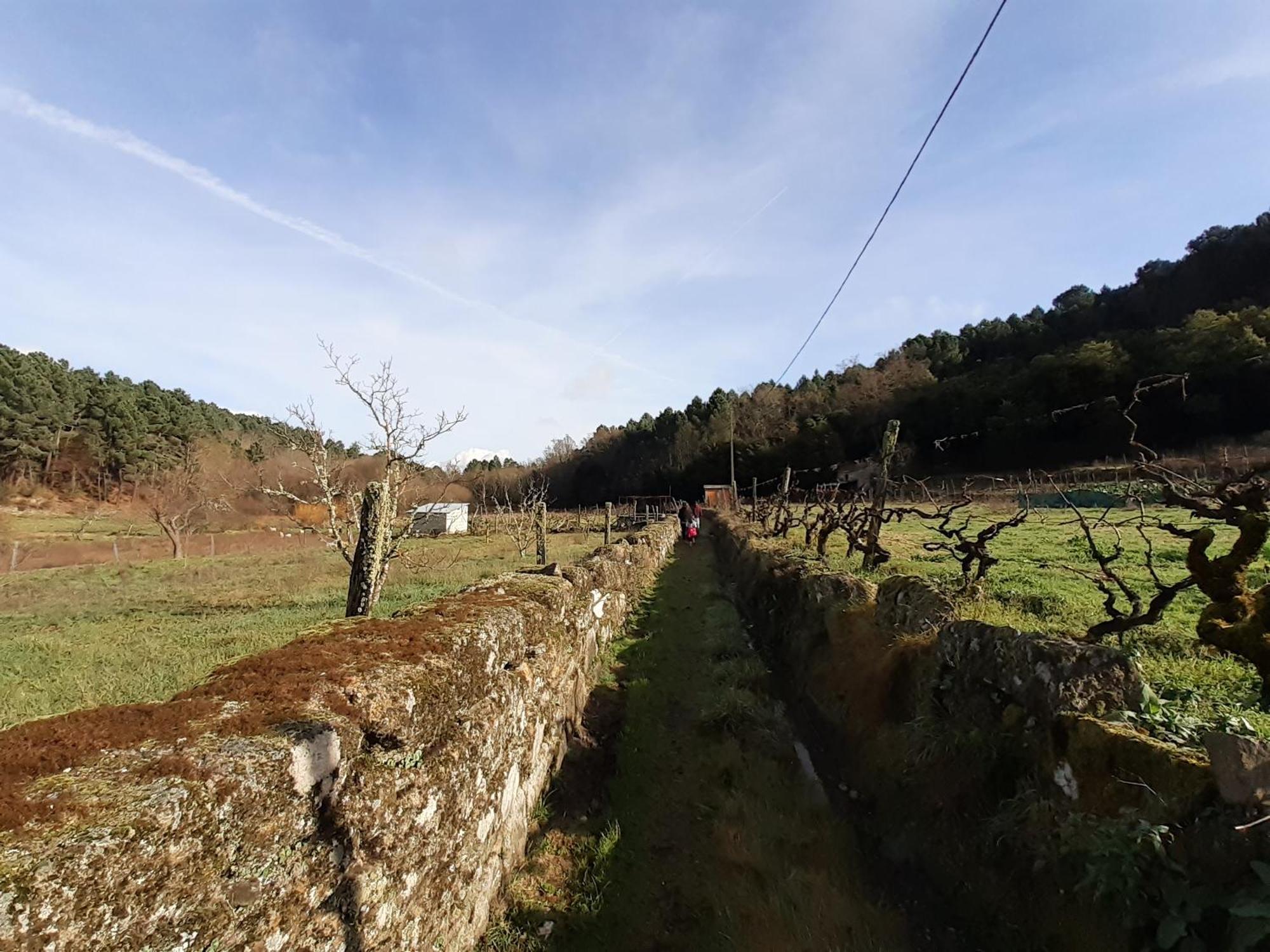 Quinta Da Peca Douro Vinhateiro Vila Real Exteriér fotografie
