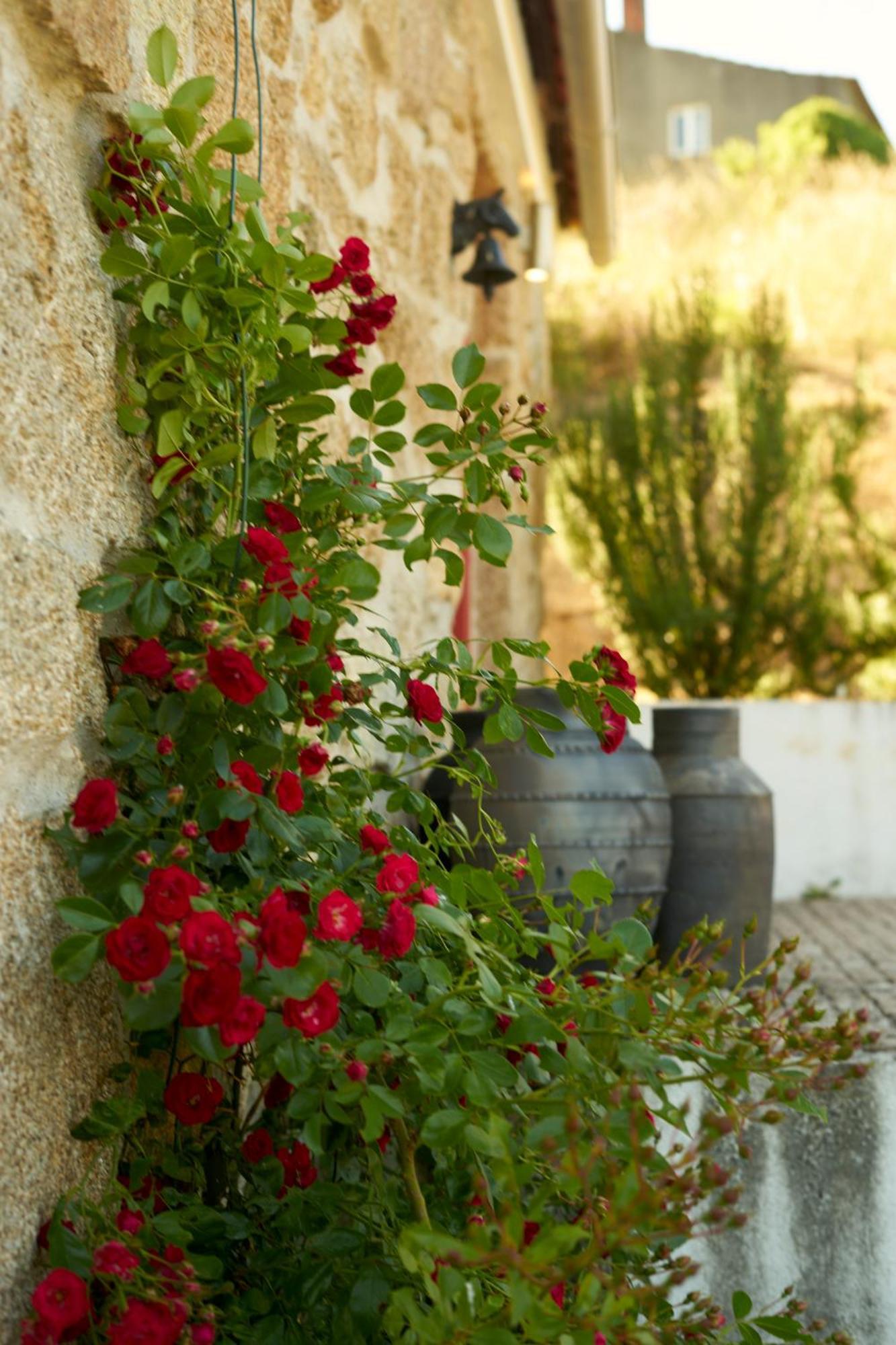 Quinta Da Peca Douro Vinhateiro Vila Real Exteriér fotografie